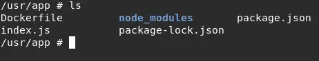 docker node js workdir